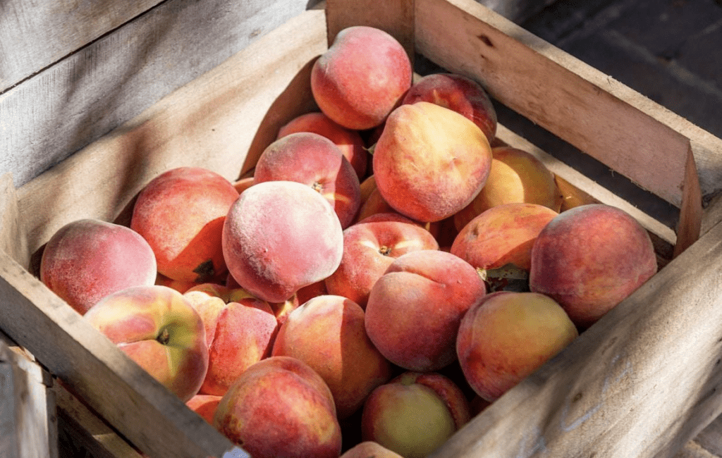 example of peaches grown in colorado